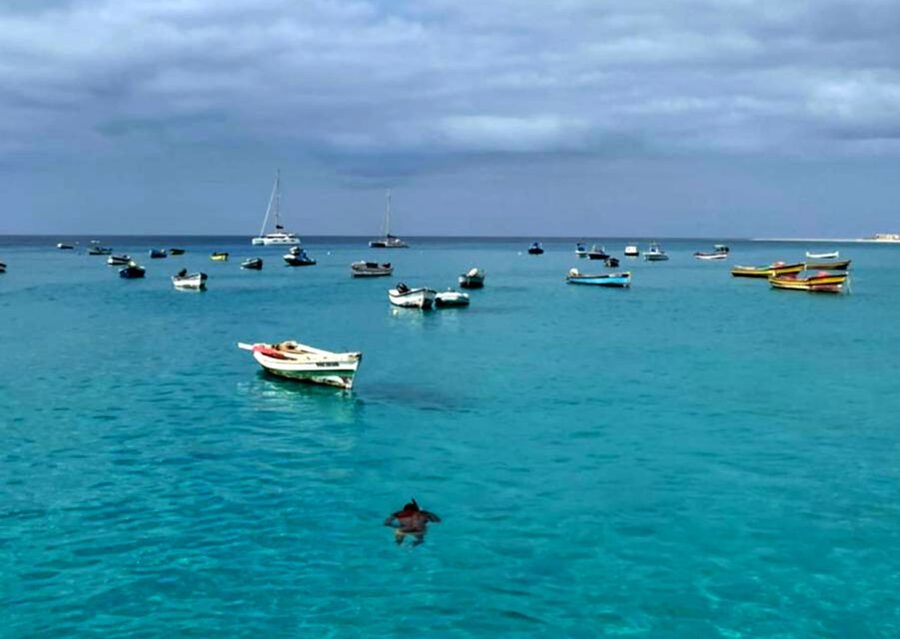 Sal island: Santa Maria city tour, street art and tapas - Where your guide collects you: hotel pickup that saves time