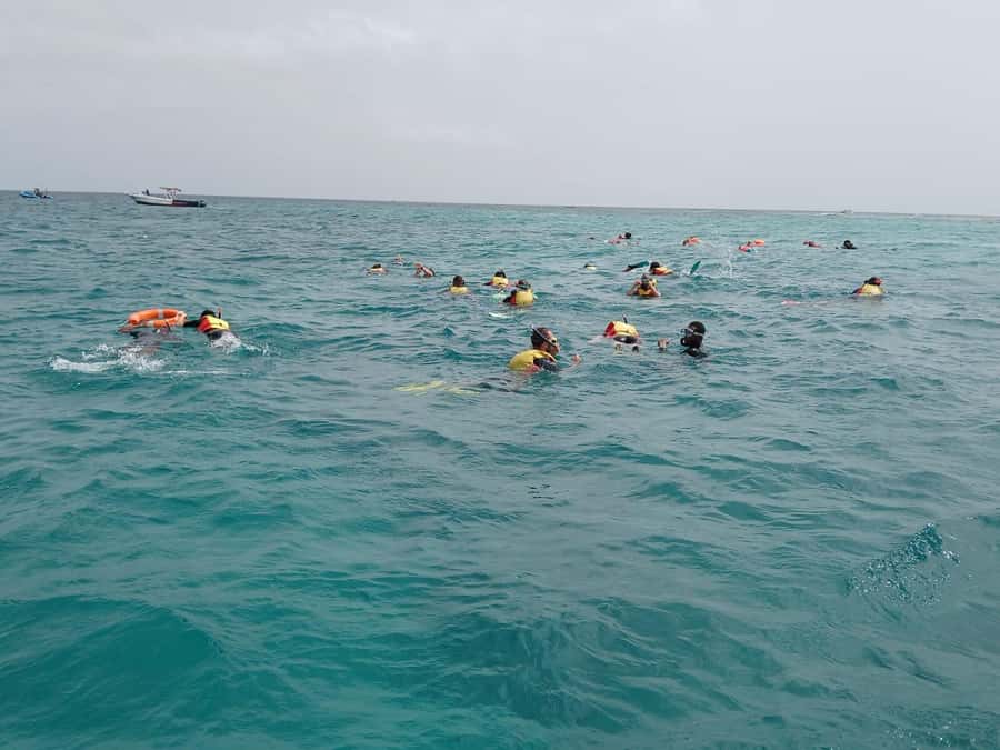 Sal Island: Santa Maria Snorkelling - Meeting Nando at Santa Maria Peer: the start that sets the tone