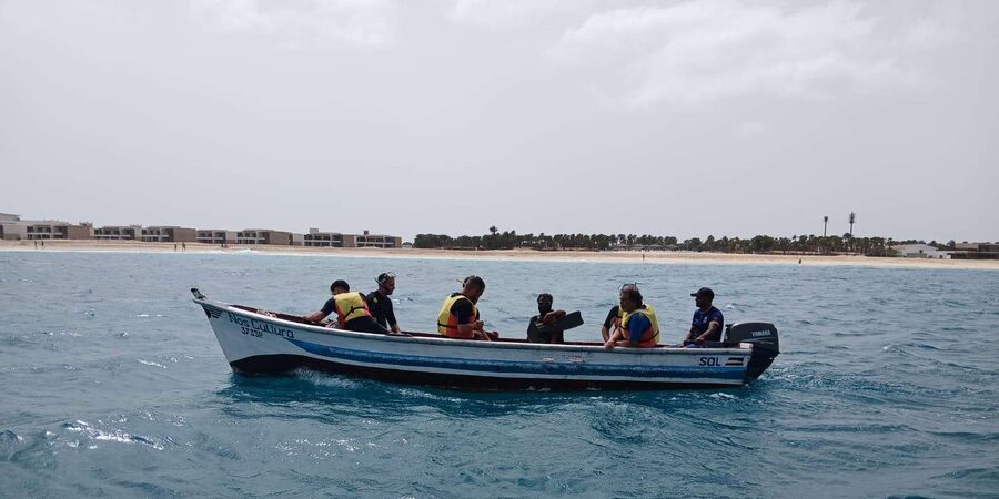 Sal Island: Santa Maria Snorkelling - Dunas Bikini and Farol: your wildlife search between the big moments