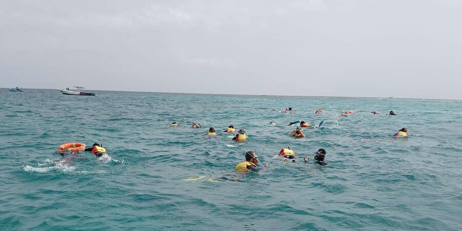 Sal Island: Santa Maria Snorkelling - Price and value: what $70 buys you in Sal