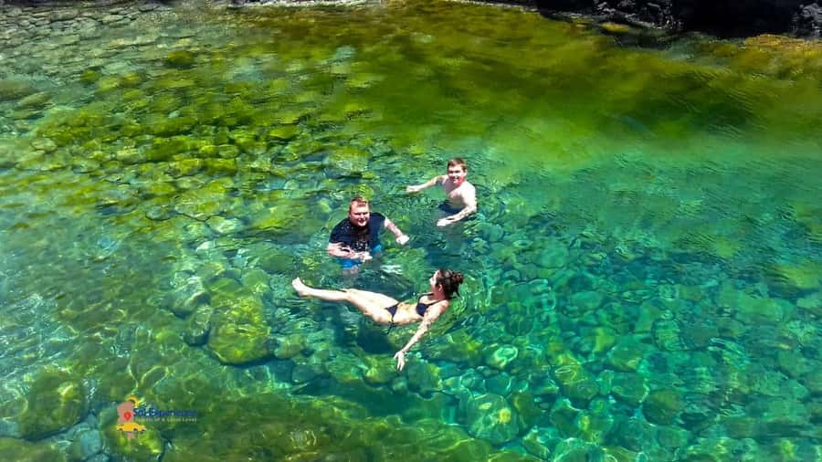 Sal island: Secrets of a Native Guide Day trip with Lunch - Shark Bay Lemon Sharks: The Real-Deal Wildlife Encounter