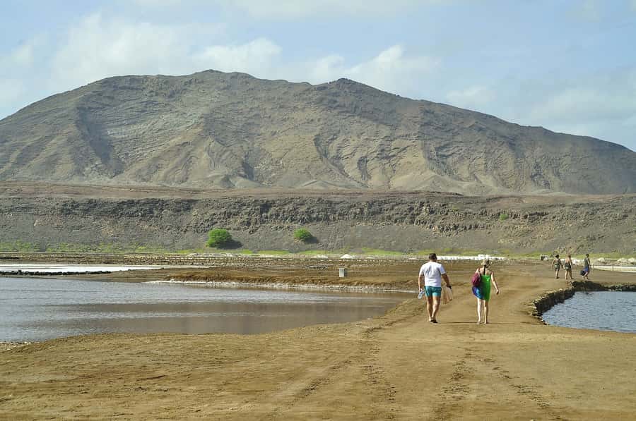 Sal: Lemon Shark Bay and Pedra de Lume Salt Lakes Tour - Key Things That Make This Tour Worth Your Time
