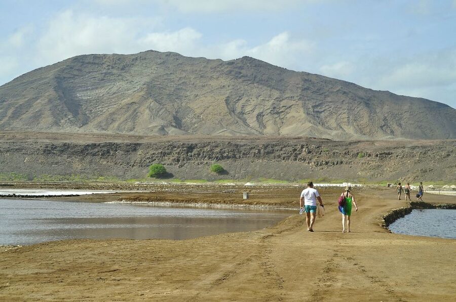 Sal: Lemon Shark Bay and Pedra de Lume Salt Lakes Tour - Price, Time, and Value For Sal Island
