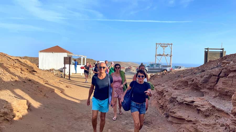 Sal: Lemon Shark Bay and Pedra de Lume Salt Lakes Tour - In The Water With Baby Lemon Sharks: How The Experience Feels