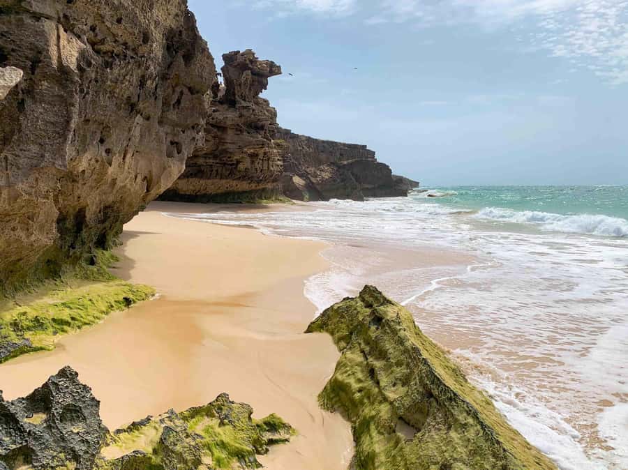 Sal Rei: Boa Vista Island Full-Day North to South Discovery - Sal Rei city tour: lunch, a drink, and a market you can browse