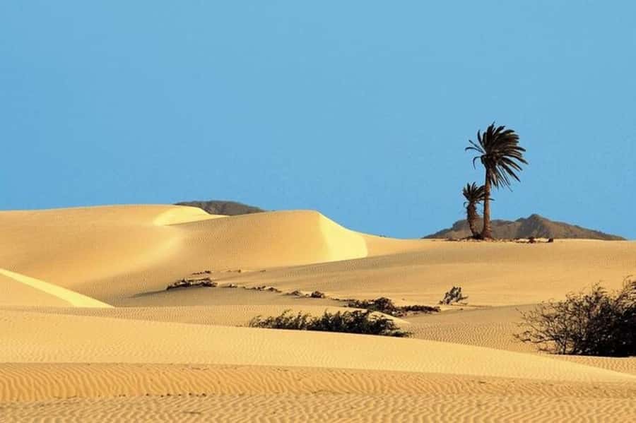 Sal Rei, Santa Monica Beach, Caves, Dunes & Shipwreck Tour - Varandinha Cave and the sand-cut beach vibe