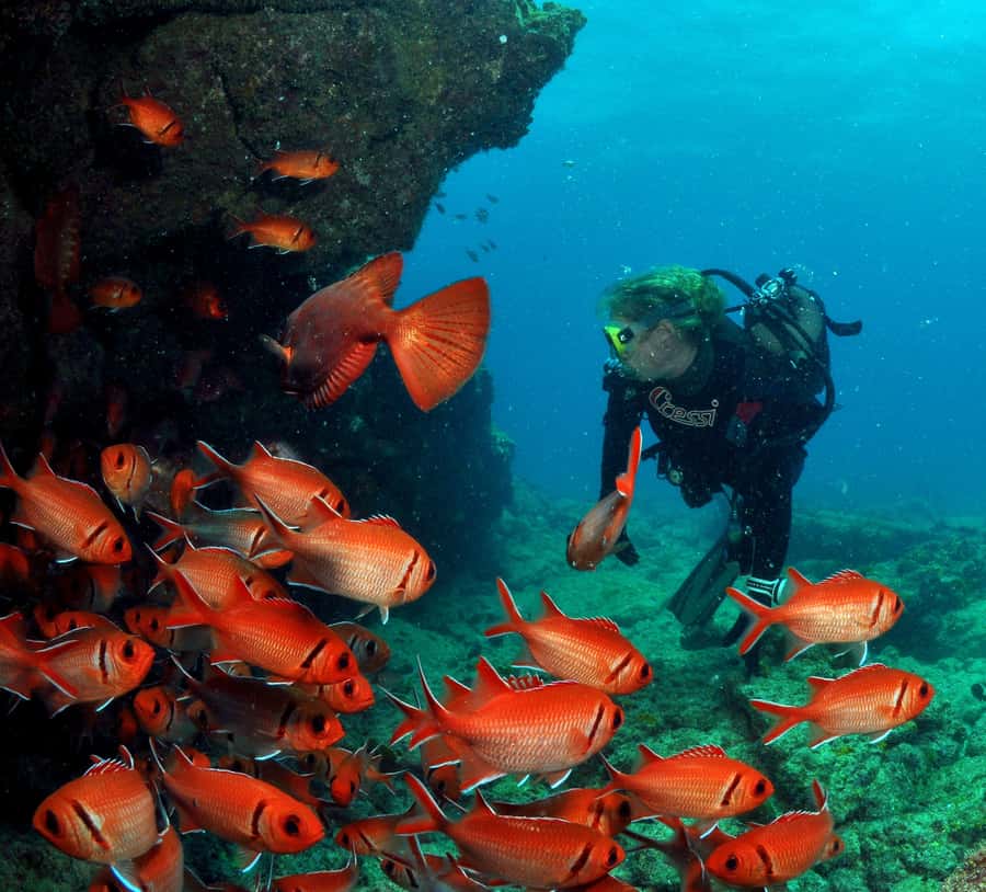 Santa Maria: Discover Scuba Diving - Your morning from 8:30 to 11:30 at Bikini Beach