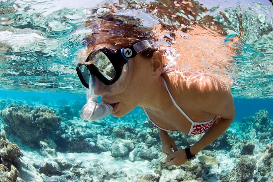 Santa Maria: Guided Snorkeling and Reef Tour - Why Santa Maria reefs and the Bolama wreck are worth it