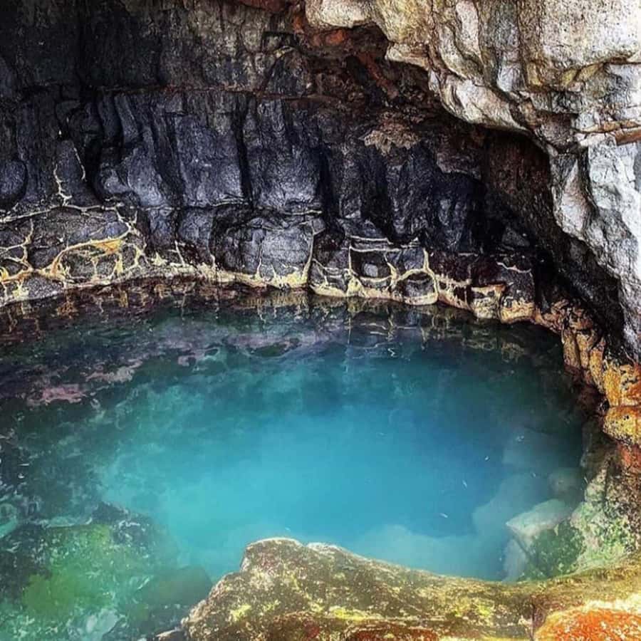 Santa Maria: Salt Mine, Natural Pool, and Shark Bay Tour - Miragem: The Desert-Like Photo World That Feels Like a Trick