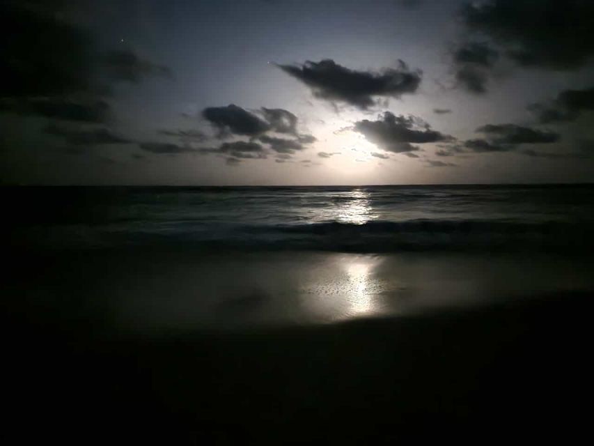 Santa Maria: Sea Turtle Watching Experience on Sal Island - How Sea Turtle Nesting Unfolds, Step by Step