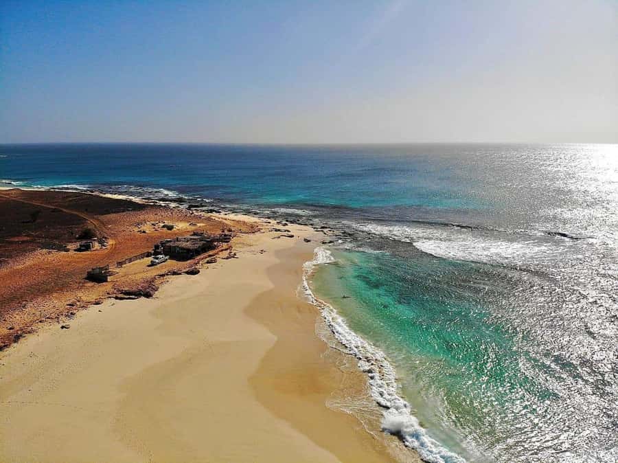 Santa Monica Beach Tour - Turtle Bay and Shark Bay, ocean spotting without guarantees