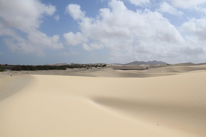 Santa Monica NO Stress Tour - A half-day that actually feels unhurried on Boa Vista