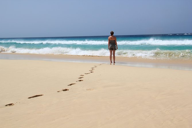 Santa Monica NO Stress Tour - Stop 1: Santa Monica Beach and your swim/snorkel moment at Boca Beach