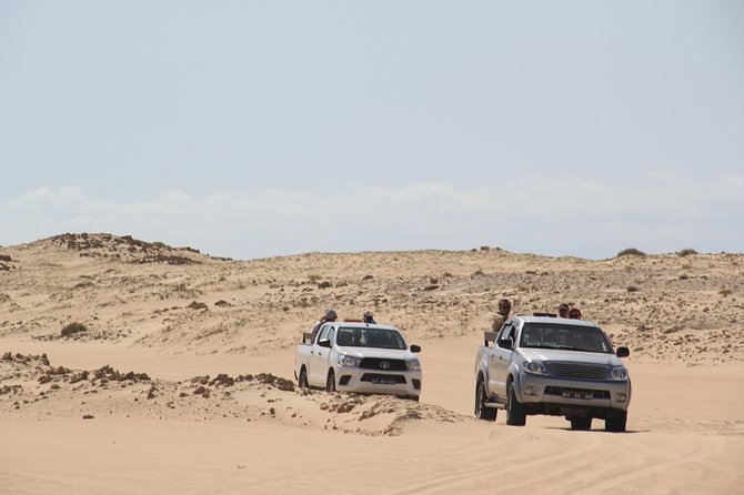 Santa Monica NO Stress Tour - Praia da Varandinha caves: short time, big photo payback