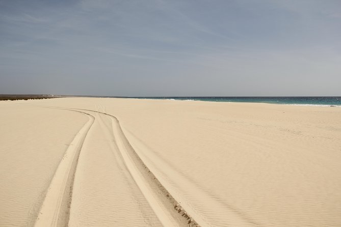 Santa Monica NO Stress Tour - Morro d’areia, Turtle and Shark Bay, and why the drive matters