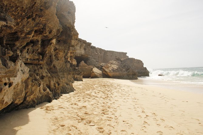 Santa Monica NO Stress Tour - Price and value: what $58.07 gets you in real time