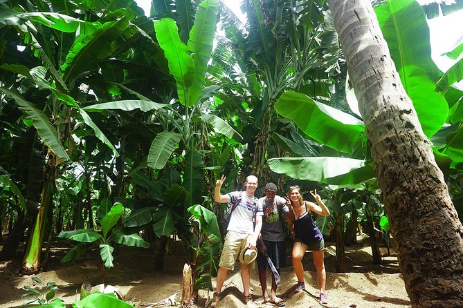 Santiago Island: Banana Plantation, Natural Park & Workshop with a local family - Key Highlights I Think Matter