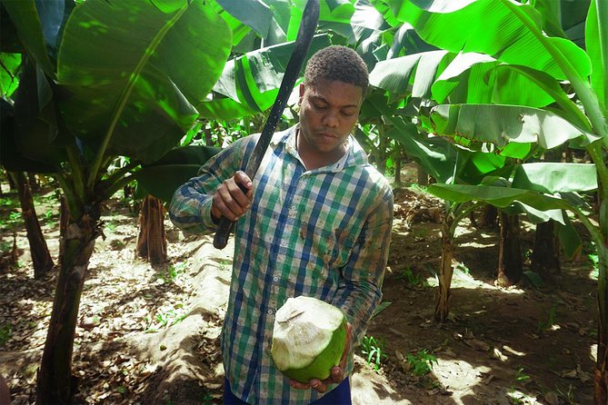 Santiago Island: Banana Plantation, Natural Park & Workshop with a local family - São Lourenço dos Órgãos Cooking Workshop With a Local Family (About 2 Hours)