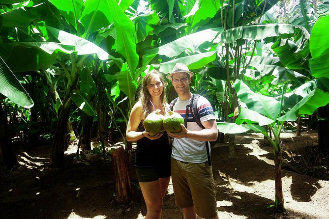 Santiago Island: Banana Plantation, Natural Park & Workshop with a local family - The Scenic Return to Praia: Rocks, Valleys, and a Calm Finish