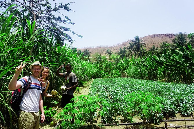 Santiago Island: Banana Plantation, Natural Park & Workshop with a local family - What You Learn About Cape Verde Through Fruits and Food