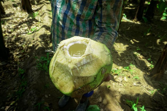 Santiago Island: Banana Plantation, Natural Park & Workshop with a local family - Practical Tips So Your 4 Hours Feel Easy