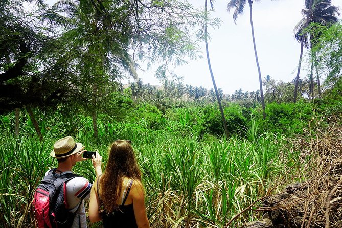 Santiago Island: Banana Plantation, Natural Park & Workshop with a local family - Who This Tour Suits Best