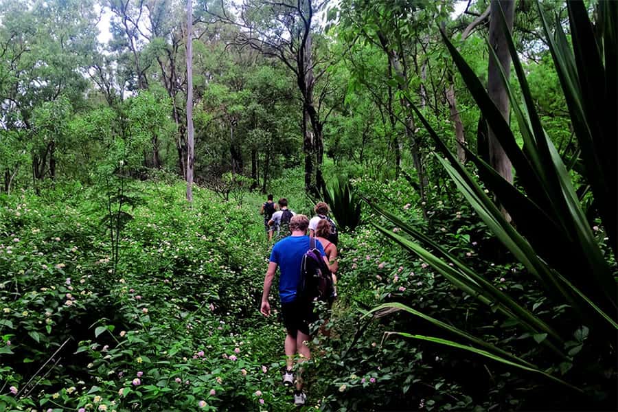 Santiago Island: Serra Malagueta & Tarrafal Beach Trek Tour - Price and Value: Is $106 a Good Deal for This Day?