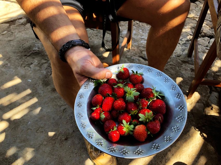 Santiago: Longueira, Pico de Antónia & Monte Tchota Trek - The Built-In Break: Picnic, Strawberry Season, and Views