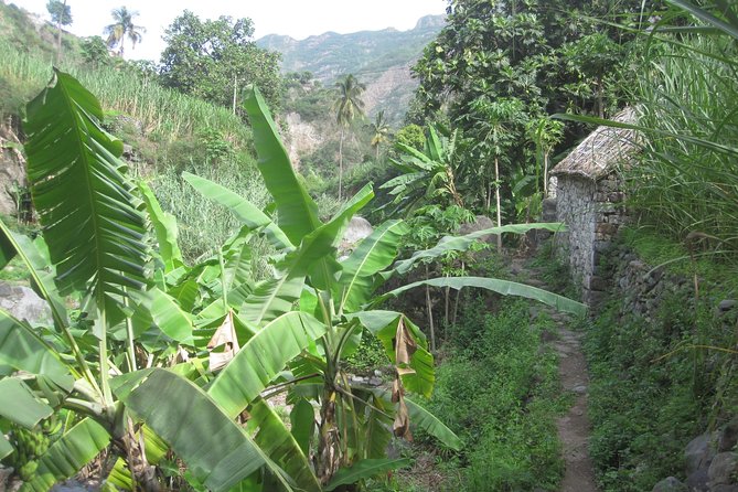 Santo Antão: Day Trip by Car or Trek - Xôxô valley and Ponta do Sol: agriculture and fishing in the same circuit