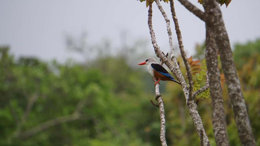 Santo Antão: Full Day Island Tour & Visit to Cova de Paúl - A Full-Day Drive Through Santo Antão’s Crater and Green Valley