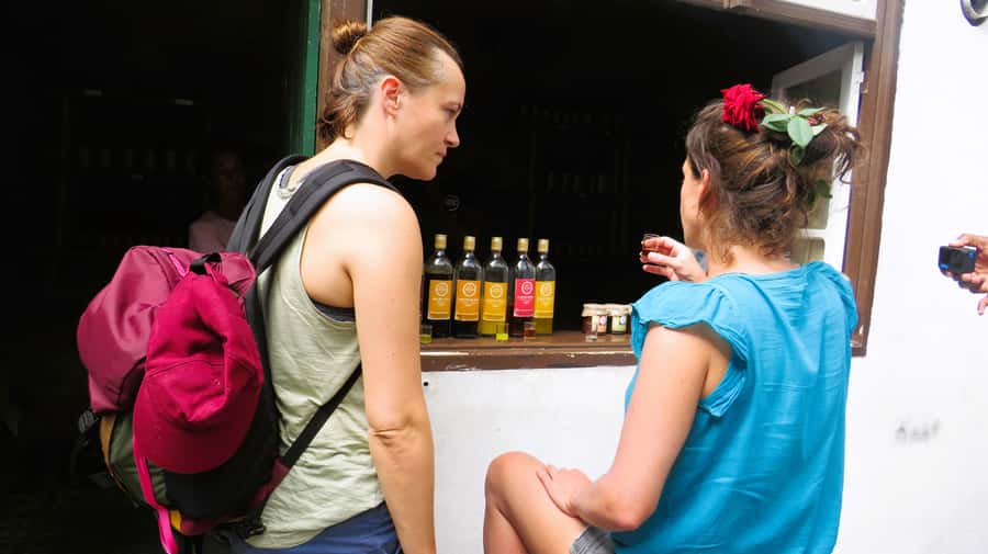 Santo Antão: Full Day Island Tour & Visit to Cova de Paúl - Price and Value at $106 per Person