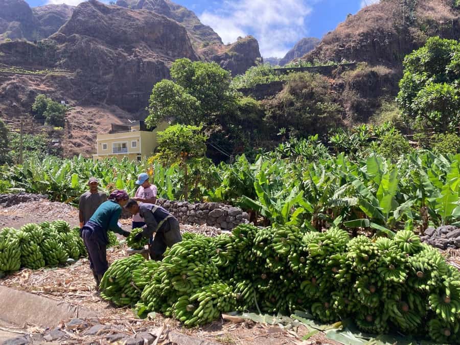 Santo Antão Highlights: Day Trip by Car with Ferry from SV - Key highlights worth planning around