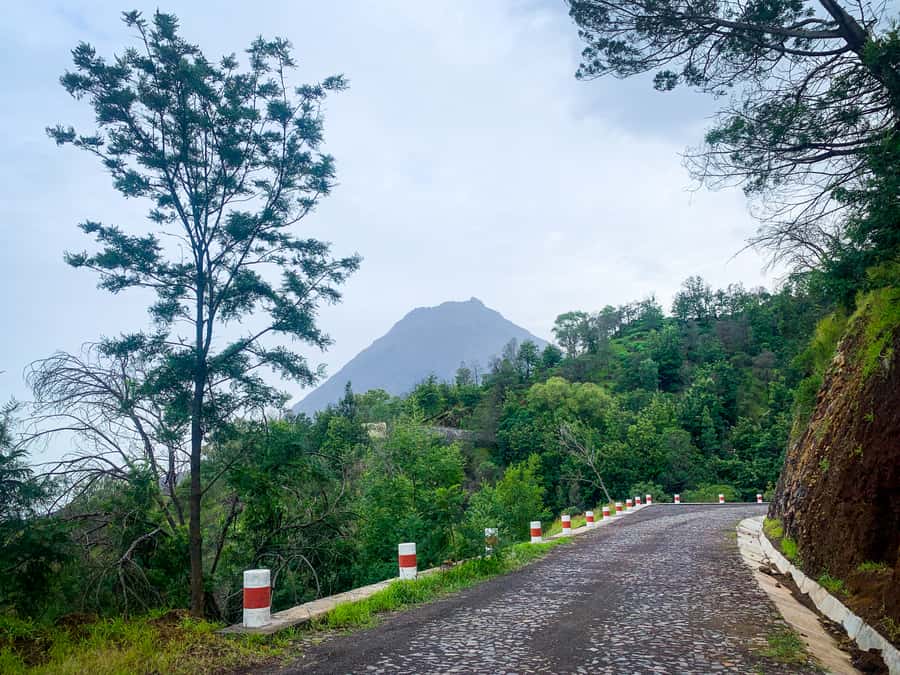 Sao Filipe: Coffee Plantation and Natural Pools Day Trip - Key highlights worth planning for