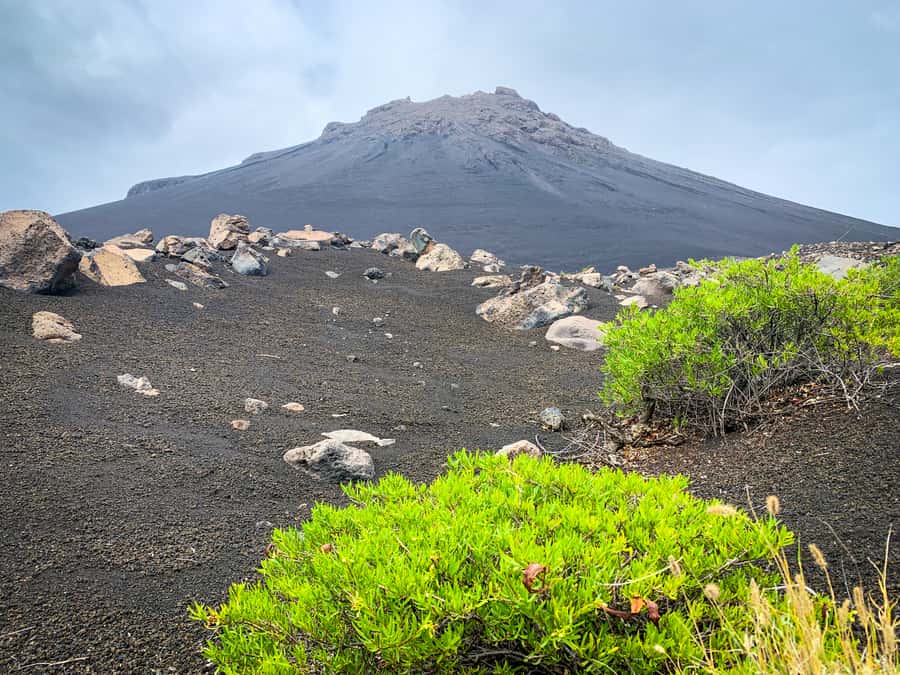 Sao Filipe: Coffee Plantation and Natural Pools Day Trip - Why this Fogo day trip pairs coffee culture with real volcanic scenery