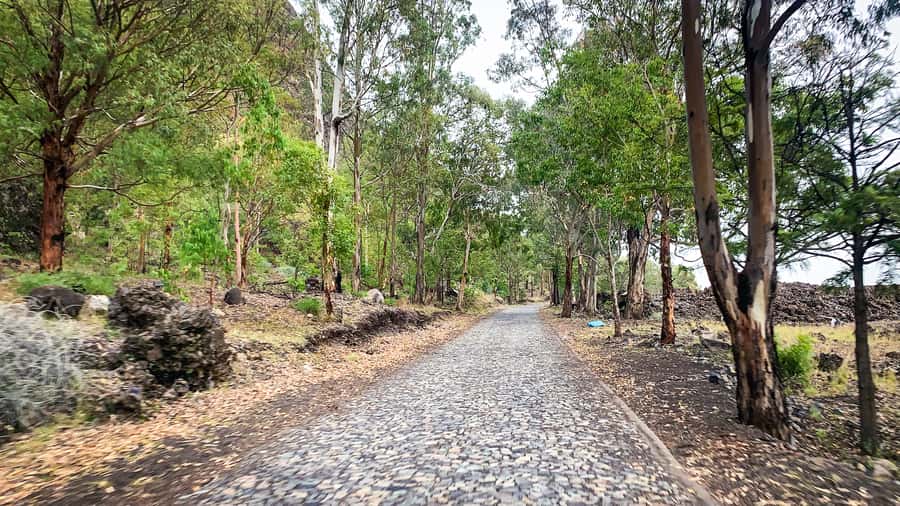 Sao Filipe: Coffee Plantation and Natural Pools Day Trip - How the guide language and group size affect your day