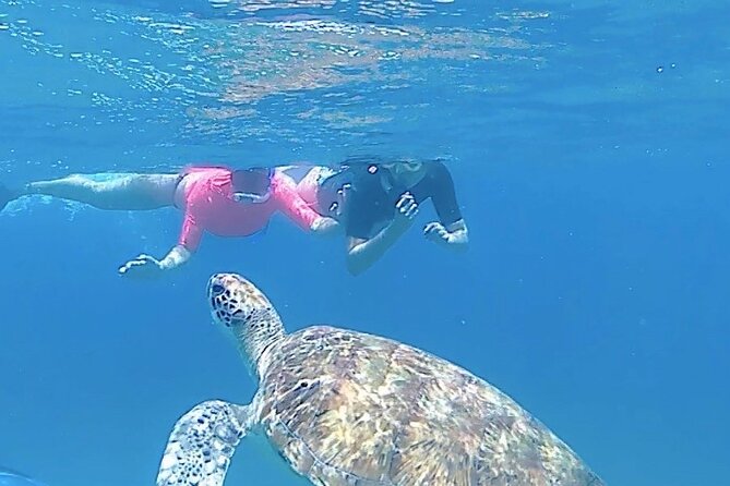 São Pedro experience (hiking & snorkeling with turtles) - Key highlights you should care about