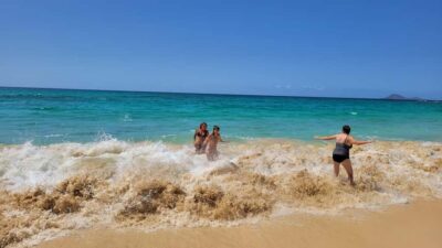 São Vicente Full Day
