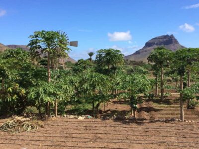 Half Day, Monte Verde and Villages