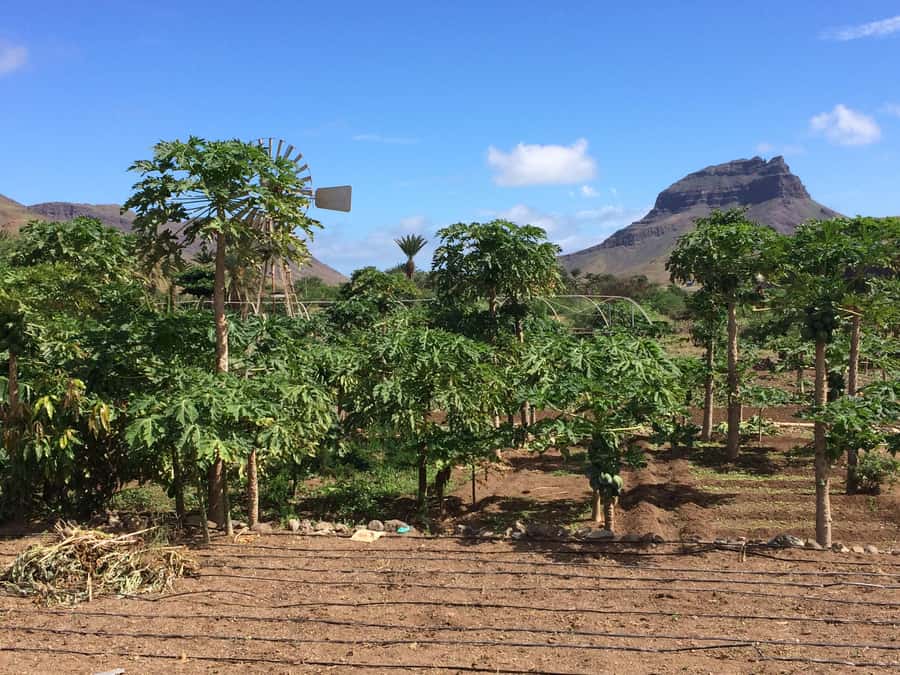 São Vicente: Half Day, Monte Verde and Villages - Salamansa photo stop and the quick village walk