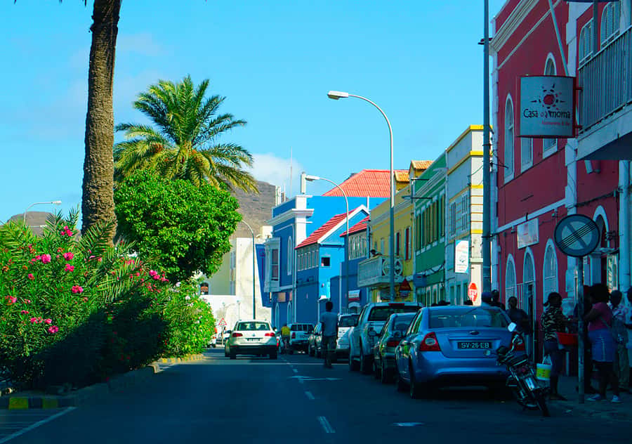 São Vicente Island: Full-Day Tour - Calhau Valley: farmland views, endemic plants, and a proper lunch break