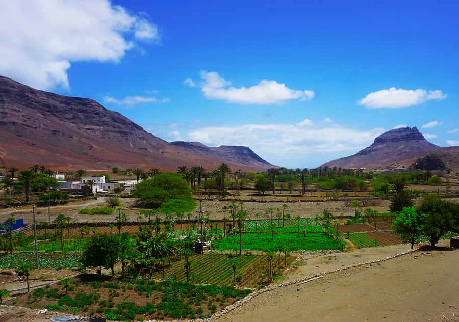 São Vicente Island: Full-Day Tour - Monte Verde Natural Park: big island viewpoints and weather-dependent photo power