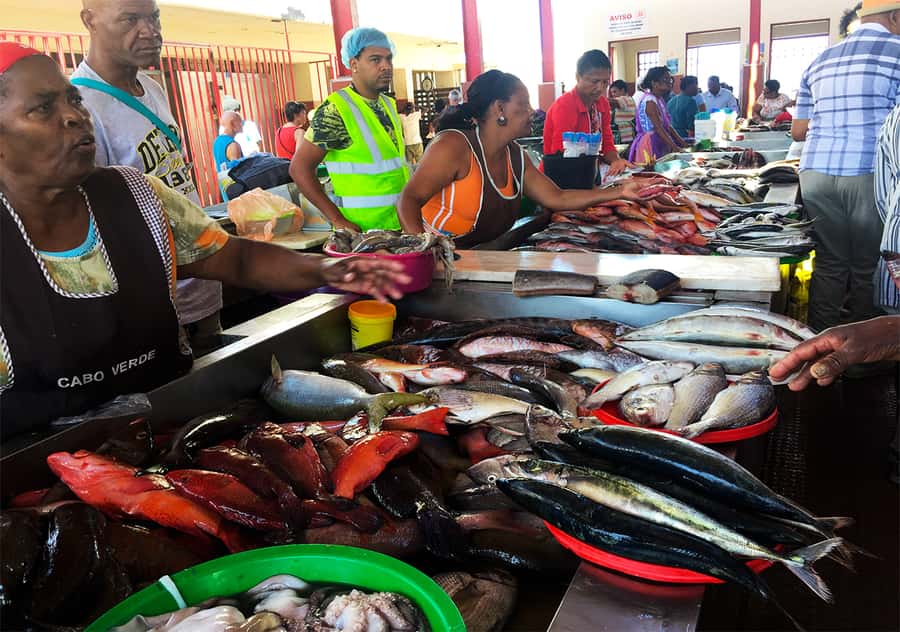 São Vicente Island: Full-Day Tour - How the tour runs: guides, small-group comfort, and what to pack