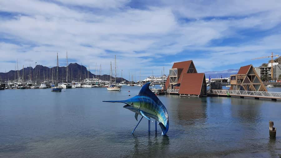 São Vicente: Markets, Beaches and Natural Park Tour - Key Things That Make This Tour Work