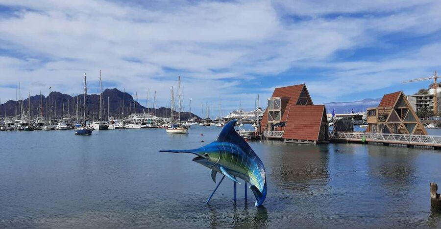 São Vicente: Markets, Beaches and Natural Park Tour - Price and Value for a 4-Hour Tour