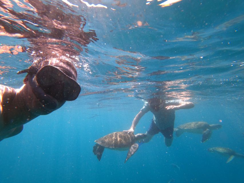 São Vicente: Snorkeling with Turtles Breathtaking Experience - Swimming with green turtles: the respectful encounter focus