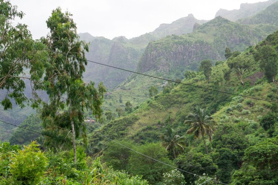 Serra Malagueta Natural Park: Hike to Gongon Valley & Lunch - Key things you will notice on this hike