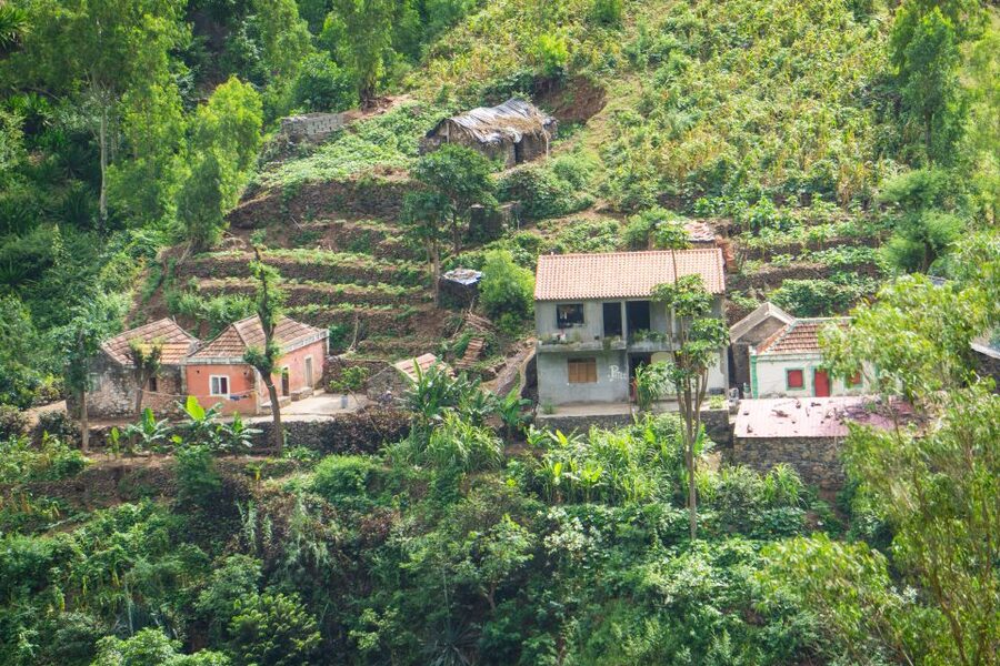 Serra Malagueta Natural Park: Hike to Gongon Valley & Lunch - Price and value, what you actually get for about $106