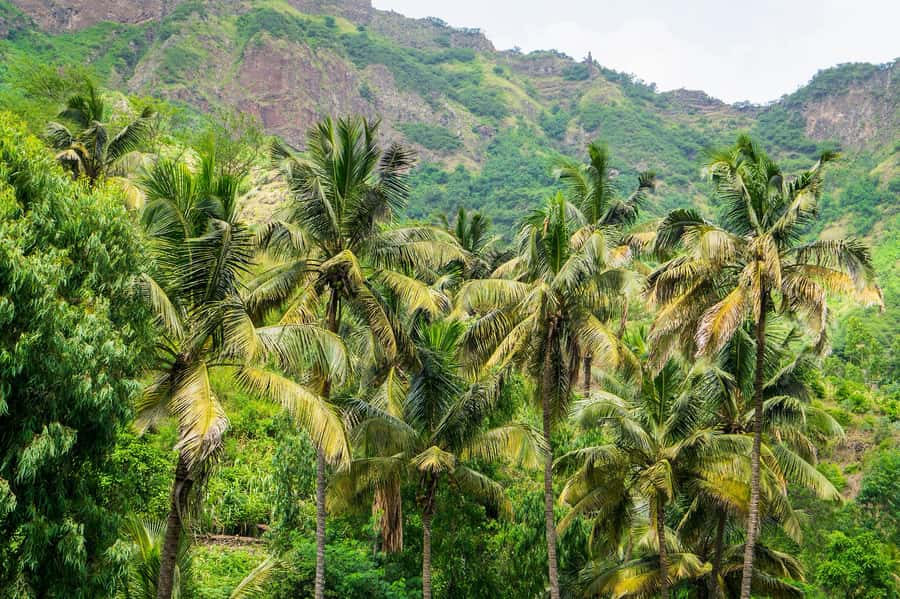 Serra Malagueta: Principal Valley Hike & Lunch with Locals - Should you book Serra Malagueta and the Principal Valley lunch with locals?