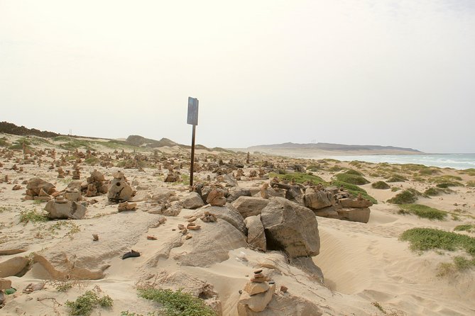 Shipwreck Cabo Santa Maria - Service, Group Size, and What Reviews Hint About the Experience