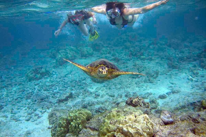 Snorkeling Experience in Santa Maria Bay by boat - Key Points You’ll Care About